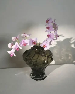 Hein Studio Ammonit Vase, new smoke fra><noscript><img width=