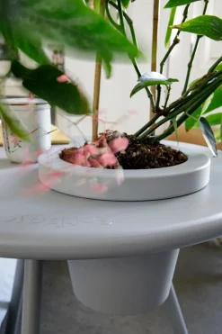 Fatboy Bakkes bord fra><noscript><img width=