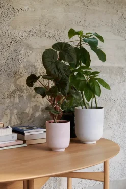 &Tradition Collect Planter SC72 fra><noscript><img width=