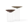 Audo Copenhagen Cresco Propagation Vases, sæt á 2 stk. fra> Gaver Til Hende|Vaser