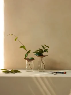 Audo Copenhagen Cresco Propagation Vases, sæt á 2 stk. fra> Gaver Til Hende|Vaser