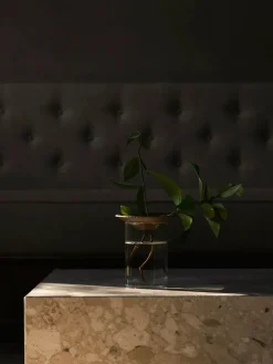 Audo Copenhagen Cresco Propagation Vases, sæt á 2 stk. fra><noscript><img width=