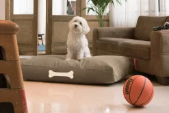 Fatboy Doggielounge S Canvas Recycled – Hundekurv fra><noscript><img width=