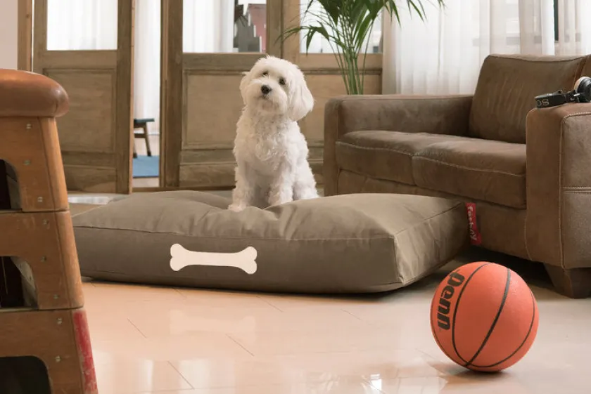 Fatboy Doggielounge S Canvas Recycled – Hundekurv fra> Sækkestole