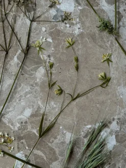 Wabi Sabi Nordic Konkylie Sofabord fra><noscript><img width=