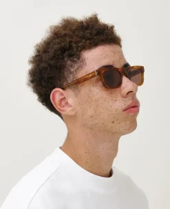 MessyWeekend NEW DYLAN, brown havana fra><noscript><img width=