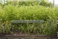 HAY Palissade Bench, hot galvanised fra><noscript><img width=