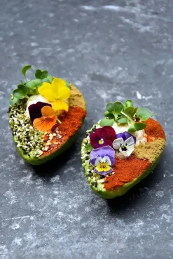 New Mags The Avocado Book fra><noscript><img width=