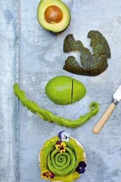 New Mags The Avocado Book fra><noscript><img width=