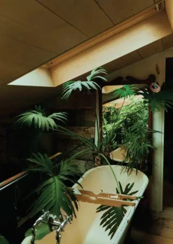 New Mags The Kinfolk Garden fra> Bøger|Bøger