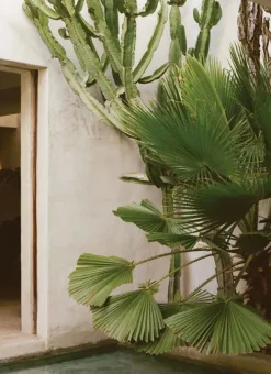 New Mags The Kinfolk Garden fra><noscript><img width=