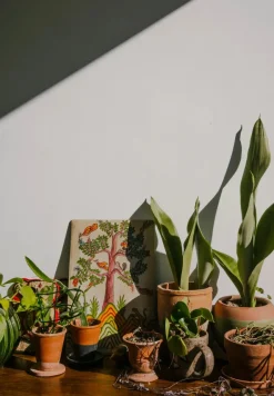 New Mags The Kinfolk Garden fra><noscript><img width=