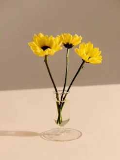 HAY Tiny Vase fra><noscript><img width=